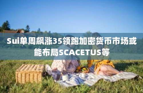 Sui单周飙涨35领跑加密货币市场或能布局SCACETUS等