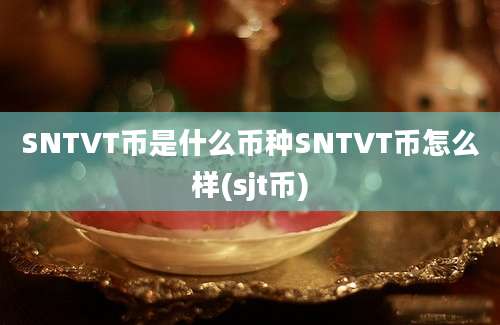 SNTVT币是什么币种SNTVT币怎么样(sjt币)