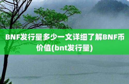 BNF发行量多少一文详细了解BNF币价值(bnt发行量)