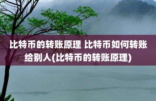 比特币的转账原理 比特币如何转账给别人(比特币的转账原理)