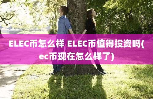 ELEC币怎么样 ELEC币值得投资吗(ec币现在怎么样了)