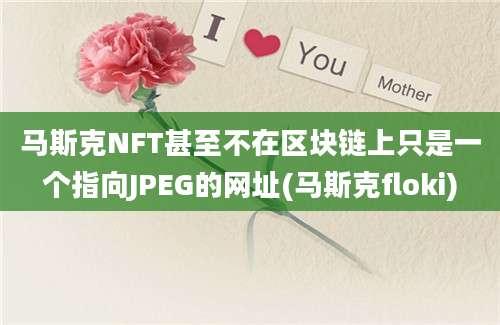 马斯克NFT甚至不在区块链上只是一个指向JPEG的网址(马斯克floki)