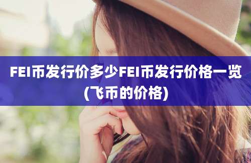 FEI币发行价多少FEI币发行价格一览(飞币的价格)