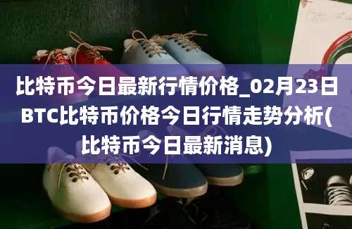 比特币今日最新行情价格_02月23日BTC比特币价格今日行情走势分析(比特币今日最新消息)