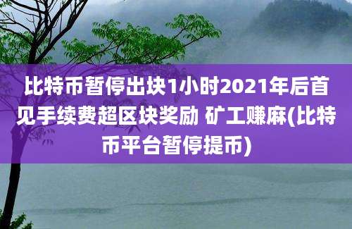 比特币暂停出块1小时2021年后首见手续费超区块奖励 矿工赚麻(比特币平台暂停提币)