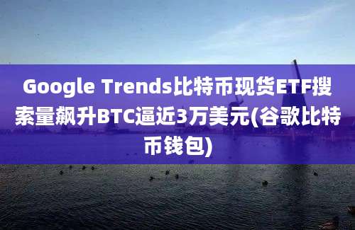 Google Trends比特币现货ETF搜索量飙升BTC逼近3万美元(谷歌比特币钱包)