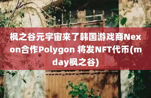 枫之谷元宇宙来了韩国游戏商Nexon合作Polygon 将发NFT代币(mday枫之谷)