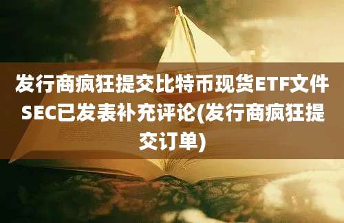 发行商疯狂提交比特币现货ETF文件SEC已发表补充评论(发行商疯狂提交订单)