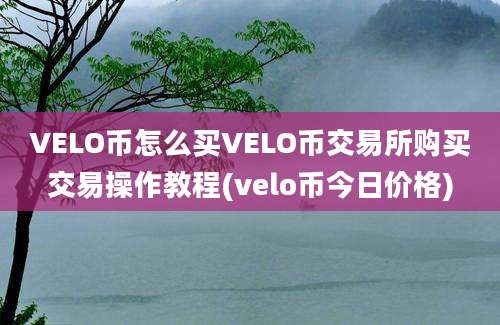 VELO币怎么买VELO币交易所购买交易操作教程(velo币今日价格)