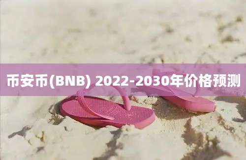 币安币(BNB) 2022-2030年价格预测