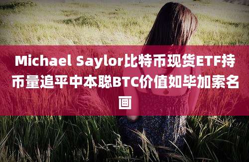 Michael Saylor比特币现货ETF持币量追平中本聪BTC价值如毕加索名画