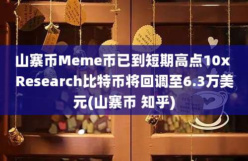 山寨币Meme币已到短期高点10x Research比特币将回调至6.3万美元(山寨币 知乎)