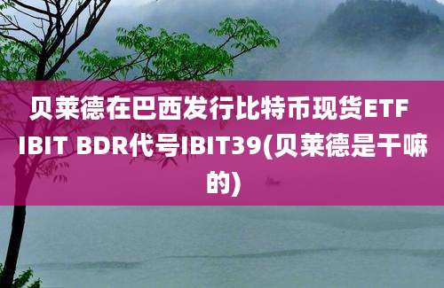 贝莱德在巴西发行比特币现货ETF IBIT BDR代号IBIT39(贝莱德是干嘛的)