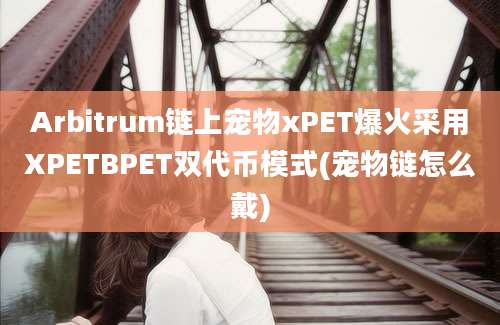 Arbitrum链上宠物xPET爆火采用XPETBPET双代币模式(宠物链怎么戴)