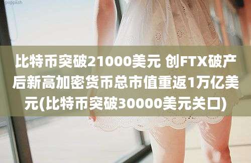 比特币突破21000美元 创FTX破产后新高加密货币总市值重返1万亿美元(比特币突破30000美元关口)