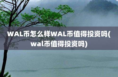 WAL币怎么样WAL币值得投资吗(wal币值得投资吗)