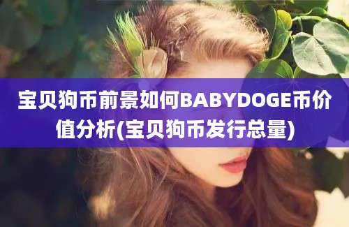 宝贝狗币前景如何BABYDOGE币价值分析(宝贝狗币发行总量)