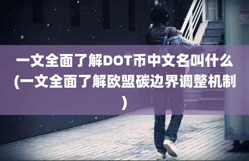 一文全面了解DOT币中文名叫什么(一文全面了解欧盟碳边界调整机制)