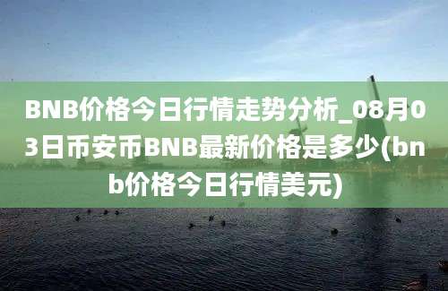 BNB价格今日行情走势分析_08月03日币安币BNB最新价格是多少(bnb价格今日行情美元)