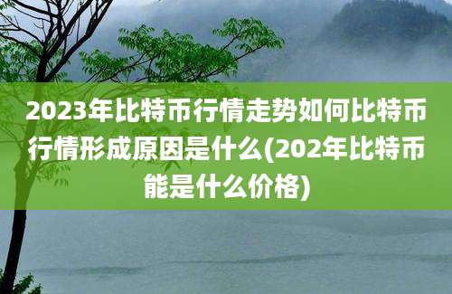 2023年比特币行情走势如何比特币行情形成原因是什么(202年比特币能是什么价格)