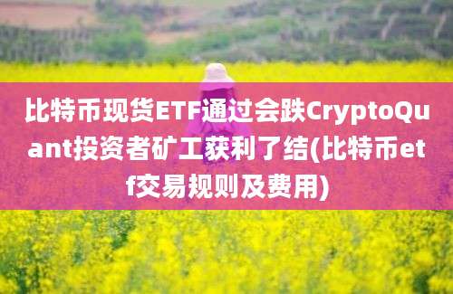 比特币现货ETF通过会跌CryptoQuant投资者矿工获利了结(比特币etf交易规则及费用)