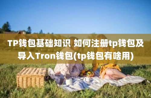 TP钱包基础知识 如何注册tp钱包及导入Tron钱包(tp钱包有啥用)