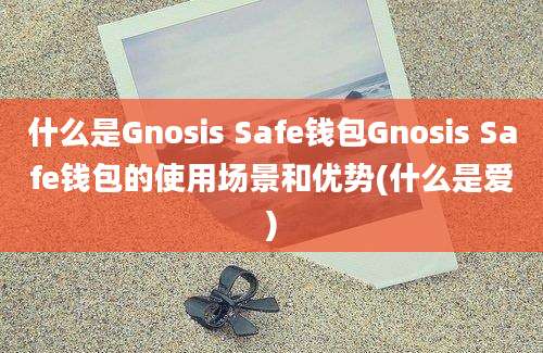 什么是Gnosis Safe钱包Gnosis Safe钱包的使用场景和优势(什么是爱)