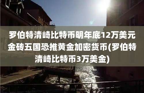 罗伯特清崎比特币明年底12万美元金砖五国恐推黄金加密货币(罗伯特清崎比特币3万美金)