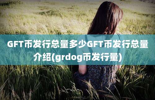 GFT币发行总量多少GFT币发行总量介绍(grdog币发行量)