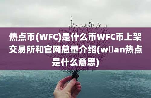 热点币(WFC)是什么币WFC币上架交易所和官网总量介绍(w乚an热点是什么意思)