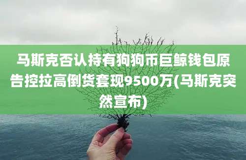 马斯克否认持有狗狗币巨鲸钱包原告控拉高倒货套现9500万(马斯克突然宣布)