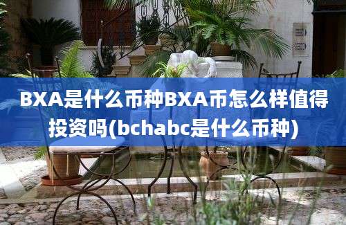 BXA是什么币种BXA币怎么样值得投资吗(bchabc是什么币种)