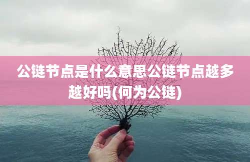 公链节点是什么意思公链节点越多越好吗(何为公链)