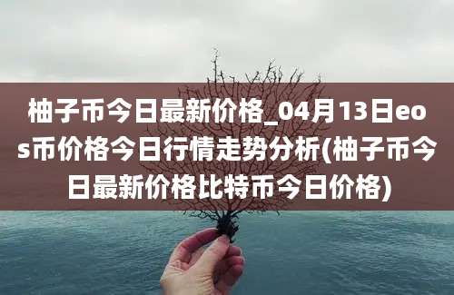 柚子币今日最新价格_04月13日eos币价格今日行情走势分析(柚子币今日最新价格比特币今日价格)