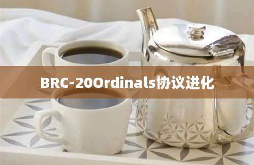 BRC-20Ordinals协议进化