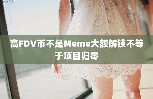 高FDV币不是Meme大额解锁不等于项目归零