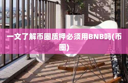 一文了解币圈质押必须用BNB吗(币圈)