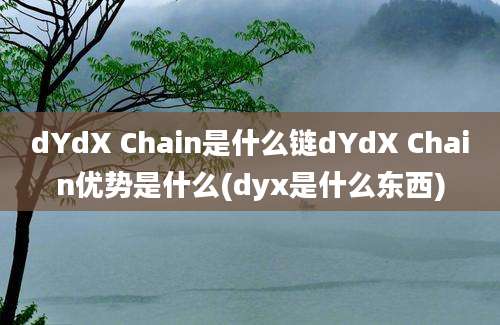 dYdX Chain是什么链dYdX Chain优势是什么(dyx是什么东西)