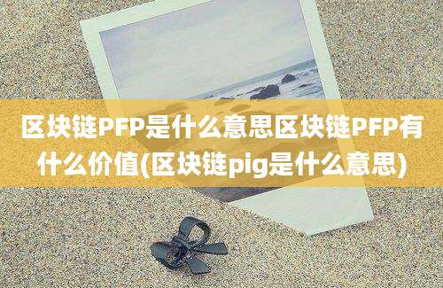 区块链PFP是什么意思区块链PFP有什么价值(区块链pig是什么意思)