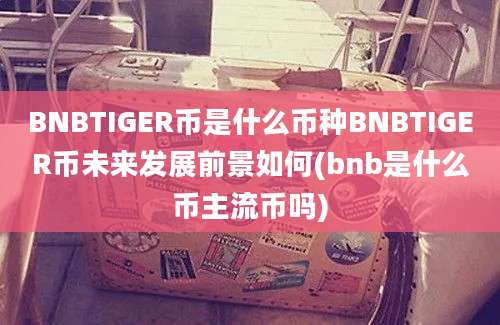 BNBTIGER币是什么币种BNBTIGER币未来发展前景如何(bnb是什么币主流币吗)