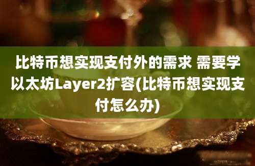 比特币想实现支付外的需求 需要学以太坊Layer2扩容(比特币想实现支付怎么办)