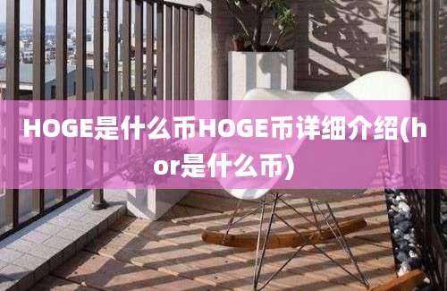 HOGE是什么币HOGE币详细介绍(hor是什么币)