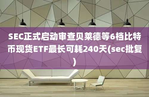 SEC正式启动审查贝莱德等6档比特币现货ETF最长可耗240天(sec批复)