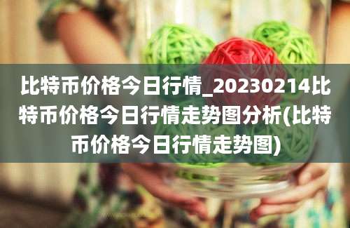 比特币价格今日行情_20230214比特币价格今日行情走势图分析(比特币价格今日行情走势图)