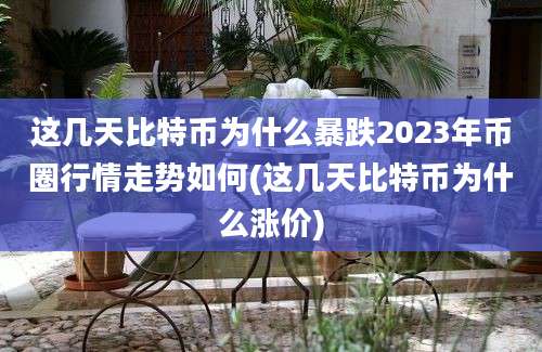 这几天比特币为什么暴跌2023年币圈行情走势如何(这几天比特币为什么涨价)