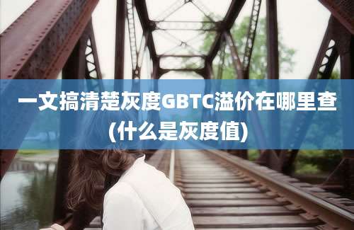 一文搞清楚灰度GBTC溢价在哪里查(什么是灰度值)