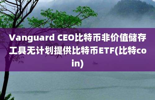 Vanguard CEO比特币非价值储存工具无计划提供比特币ETF(比特coin)