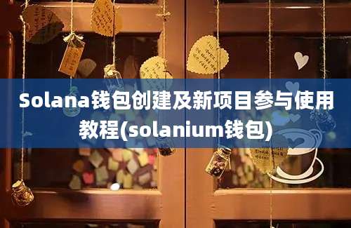 Solana钱包创建及新项目参与使用教程(solanium钱包)