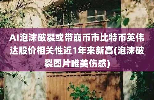 AI泡沫破裂或带崩币市比特币英伟达股价相关性近1年来新高(泡沫破裂图片唯美伤感)