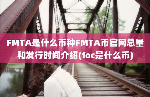 FMTA是什么币种FMTA币官网总量和发行时间介绍(foc是什么币)